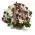 funeral basket